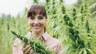 Alte  Heilpflanze neu entdeckt: Wie Cannabis von Medizinern angewendet wird