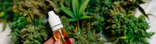 Medizinisches Marihuana zu teuer? Ist rezeptfreies CBD-l eine gnstige Alternative?