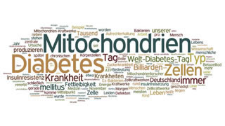 Diabetes wird durch Schden der Mitochondrien der Zellen ausgelst